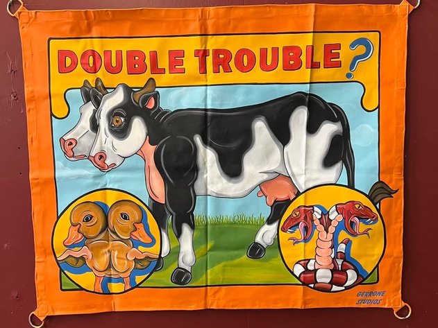 Image for Oddities, Taxidermy, Medical, Magic, Circus & More.