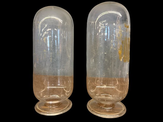 Image for Oddities, Taxidermy, Medical, Magic, Circus & More.