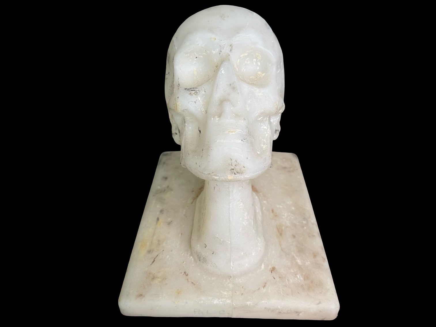 Image for Oddities, Taxidermy, Medical, Magic, Circus & More.