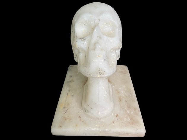 Image for Oddities, Taxidermy, Medical, Magic, Circus & More.