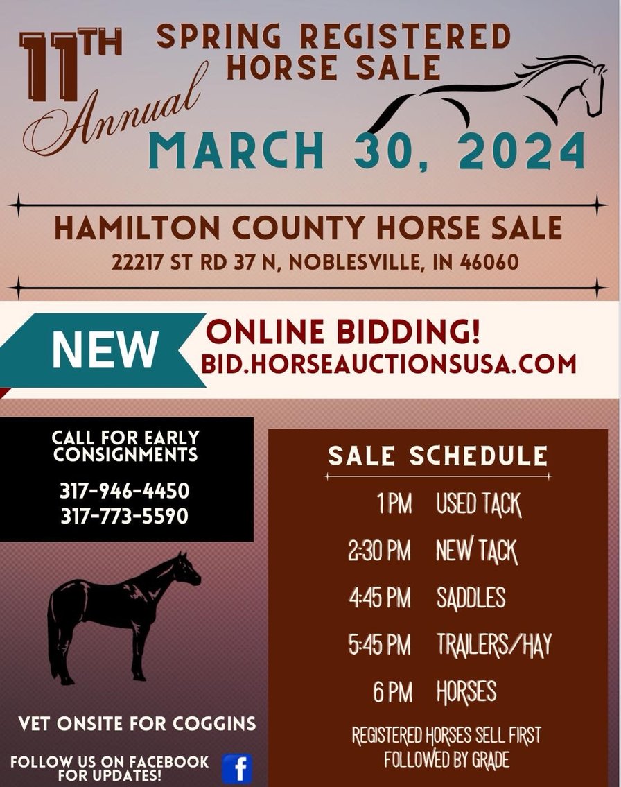 Image for 11th Annual Spring  Registered Horse Sale