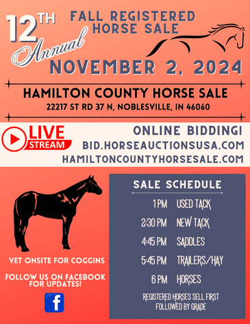 Image for 12th Annual Fall Registered Horse Sale- Hamilton County Horse & Tack Sale -SATURDAY November 2nd- Noblesville, IN