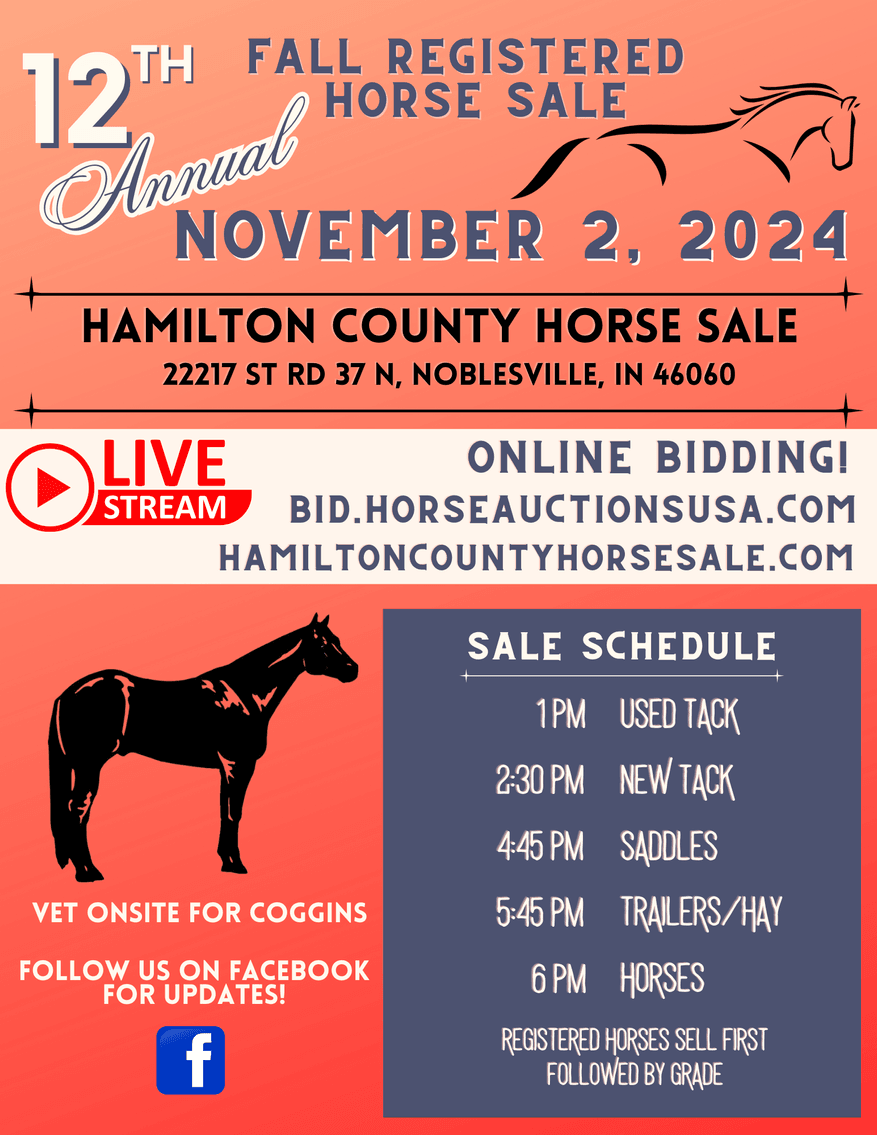 Image for 12th Annual Fall Registered Horse Sale- Hamilton County Horse & Tack Sale -SATURDAY November 2nd- Noblesville, IN