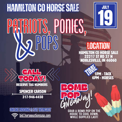 Image for Hamilton County Horse & Tack Sale -SATURDAY July 19th - Noblesville, IN
