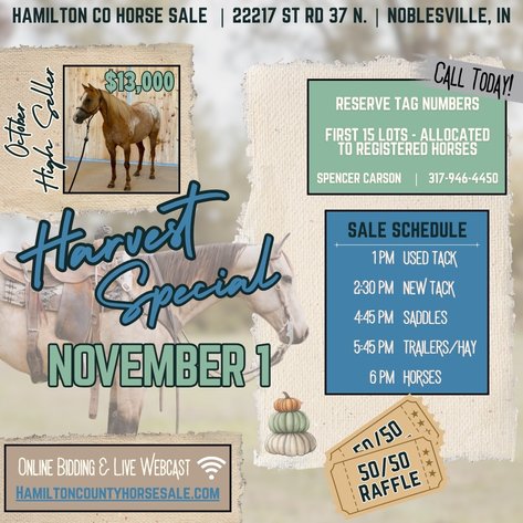 Image for Hamilton County Horse & Tack Sale HARVEST SPECIAL -SATURDAY -November 1st - Noblesville, IN