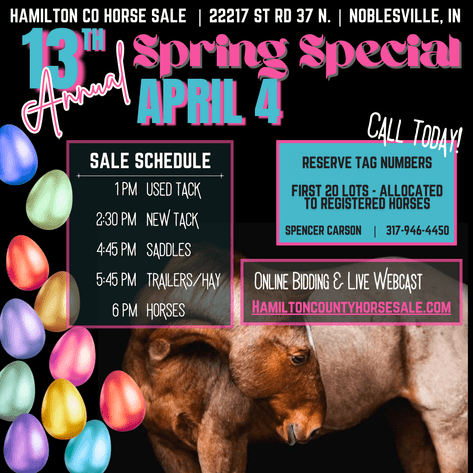 Image for 13th Annual Spring Registered Horse Sale* Hamilton County Horse & Tack Sale -SATURDAY April 4th - Noblesville, IN