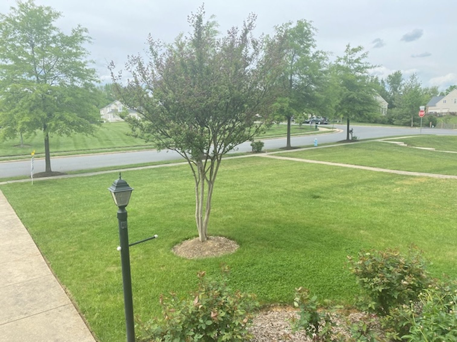 Image for 3 BR/3.5 BA Home w/Basement & Attached Garage w/Workshop in the Town of Lovettsville--Loudoun County, VA