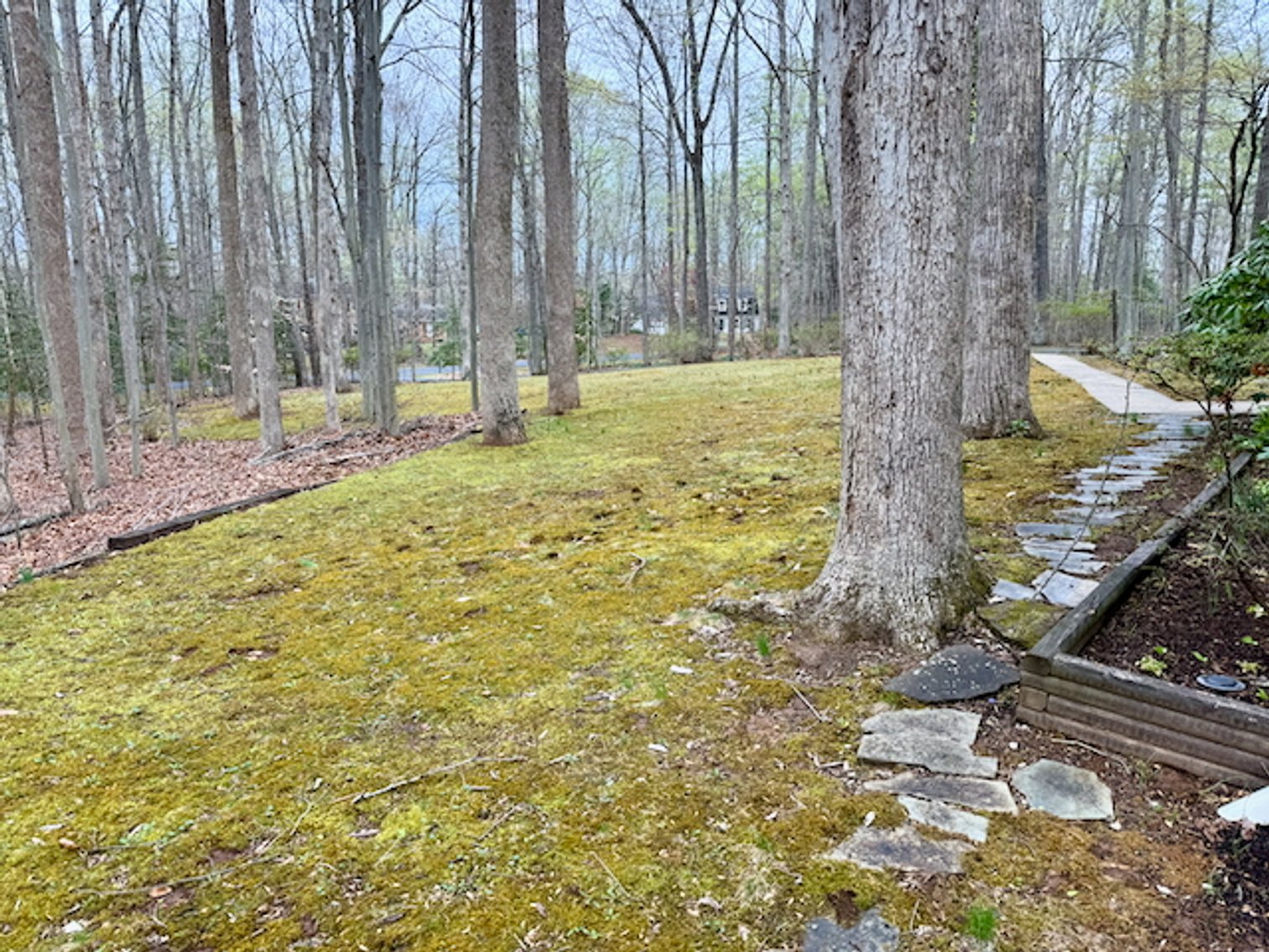 Image for 4 BR/3 BA Home on 2.4 +/- Wooded Acres in the Woodbine Forest Neighborhood of Prince William County, VA