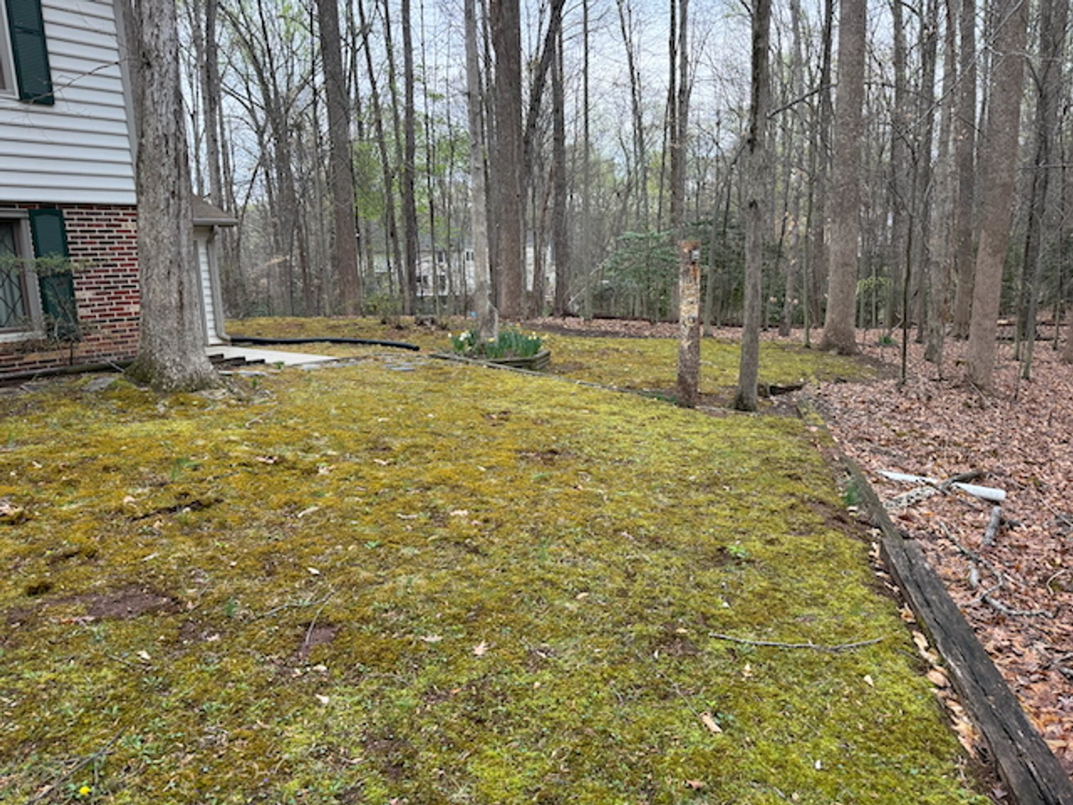 Image for 4 BR/3 BA Home on 2.4 +/- Wooded Acres in the Woodbine Forest Neighborhood of Prince William County, VA