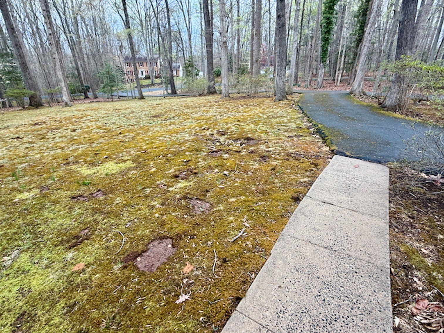 Image for 4 BR/3 BA Home on 2.4 +/- Wooded Acres in the Woodbine Forest Neighborhood of Prince William County, VA