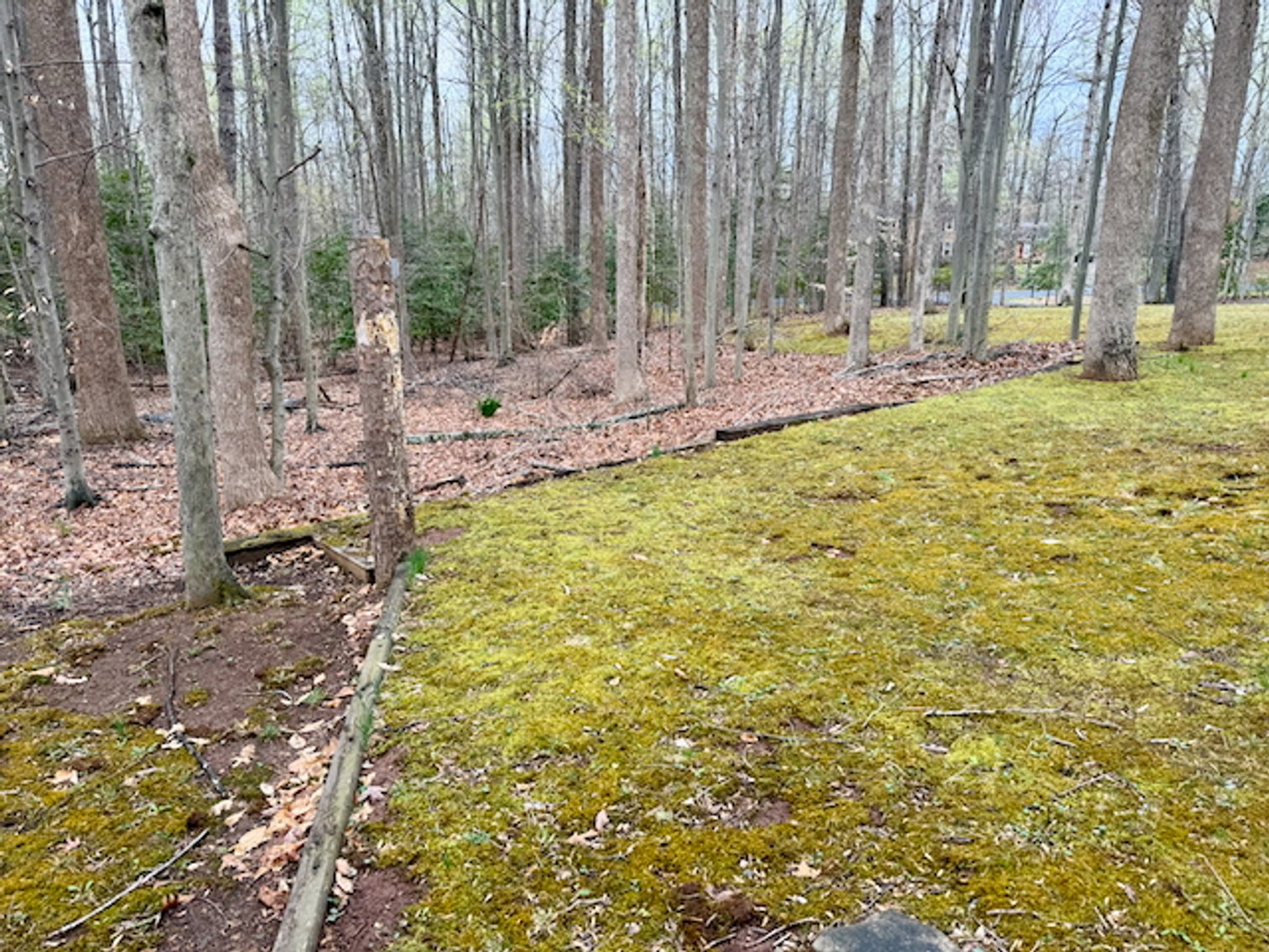 Image for 4 BR/3 BA Home on 2.4 +/- Wooded Acres in the Woodbine Forest Neighborhood of Prince William County, VA