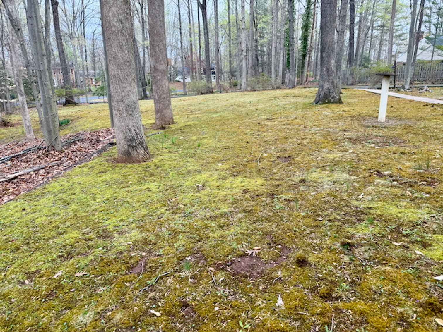 Image for 4 BR/3 BA Home on 2.4 +/- Wooded Acres in the Woodbine Forest Neighborhood of Prince William County, VA