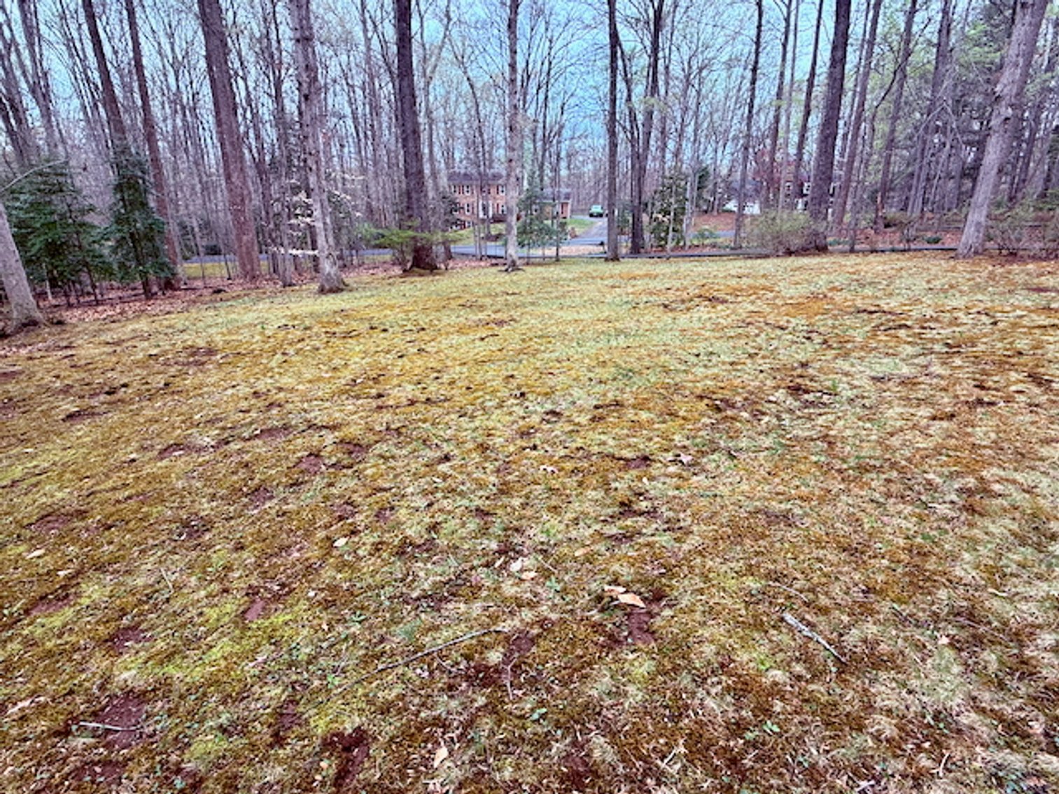 Image for 4 BR/3 BA Home on 2.4 +/- Wooded Acres in the Woodbine Forest Neighborhood of Prince William County, VA