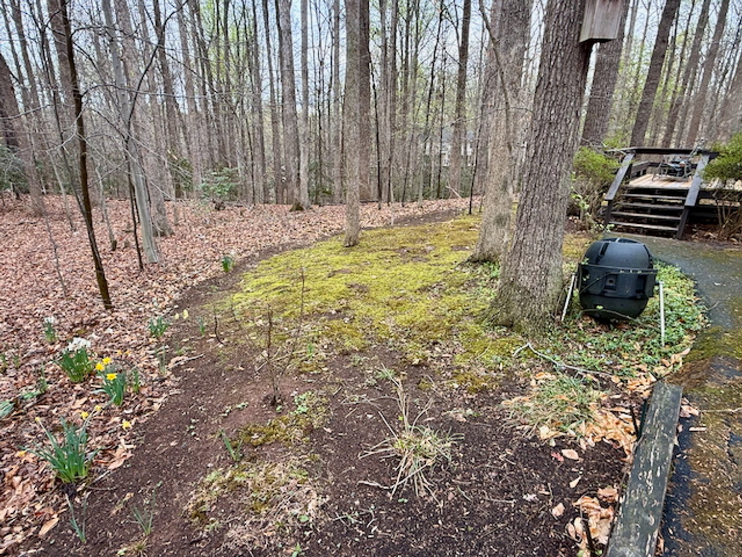 Image for 4 BR/3 BA Home on 2.4 +/- Wooded Acres in the Woodbine Forest Neighborhood of Prince William County, VA