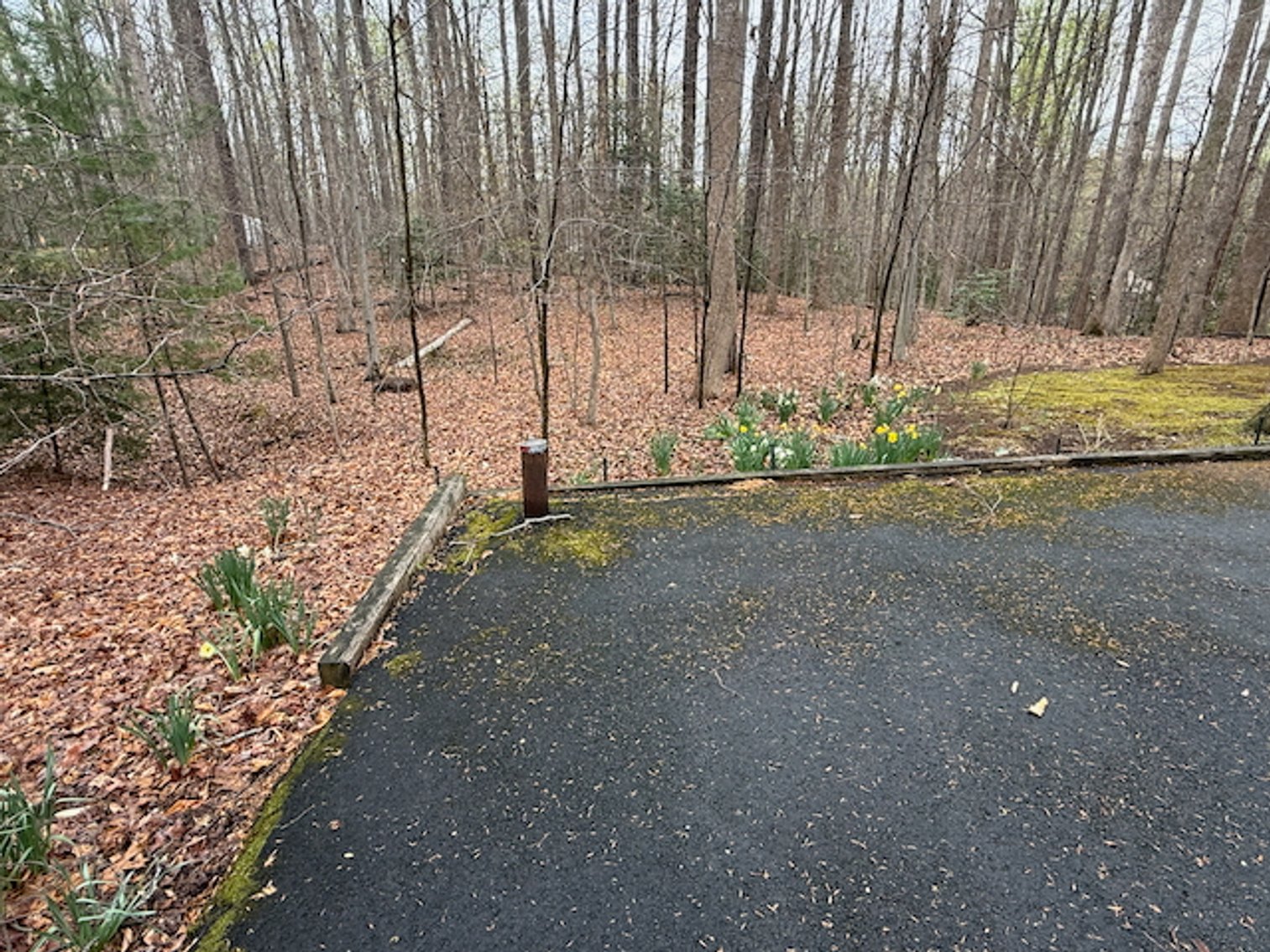 Image for 4 BR/3 BA Home on 2.4 +/- Wooded Acres in the Woodbine Forest Neighborhood of Prince William County, VA