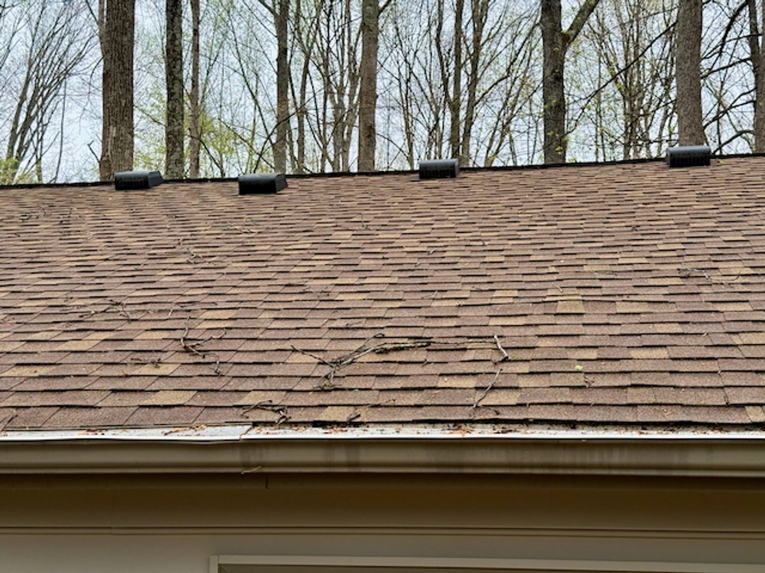 Image for 4 BR/3 BA Home on 2.4 +/- Wooded Acres in the Woodbine Forest Neighborhood of Prince William County, VA