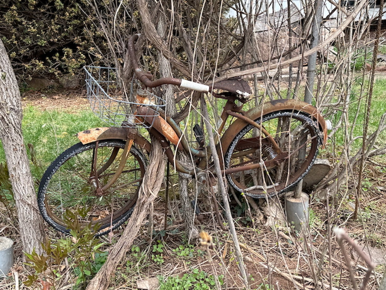 Image for Session 1 - Classic Cars, Classic Trucks, Vintage Metal Toys, Pedal Cars and Pedal Tractors, Antique Furniture