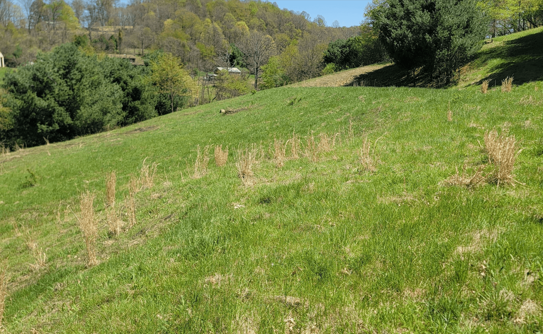 Image for The Late Harold and Rose Snider Real Estate Auction!