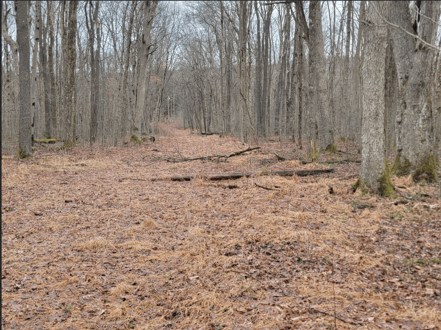 Image for TBD Cranesville Road Terra Alta WV