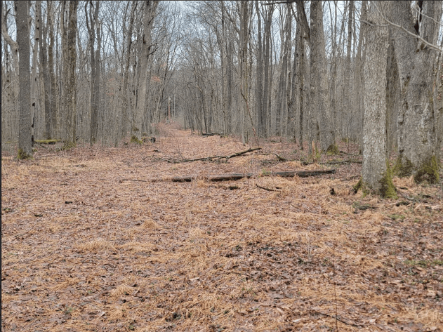 Image for TBD Cranesville Road Terra Alta WV