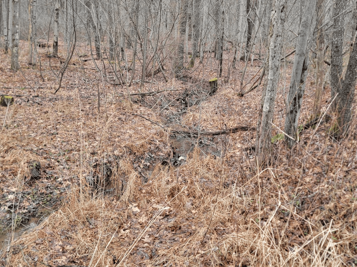 Image for TBD Cranesville Road Terra Alta WV