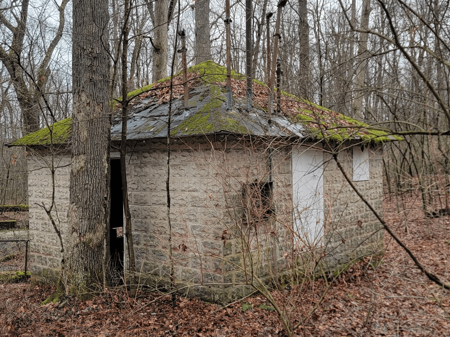 Image for TBD Cranesville Road Terra Alta WV