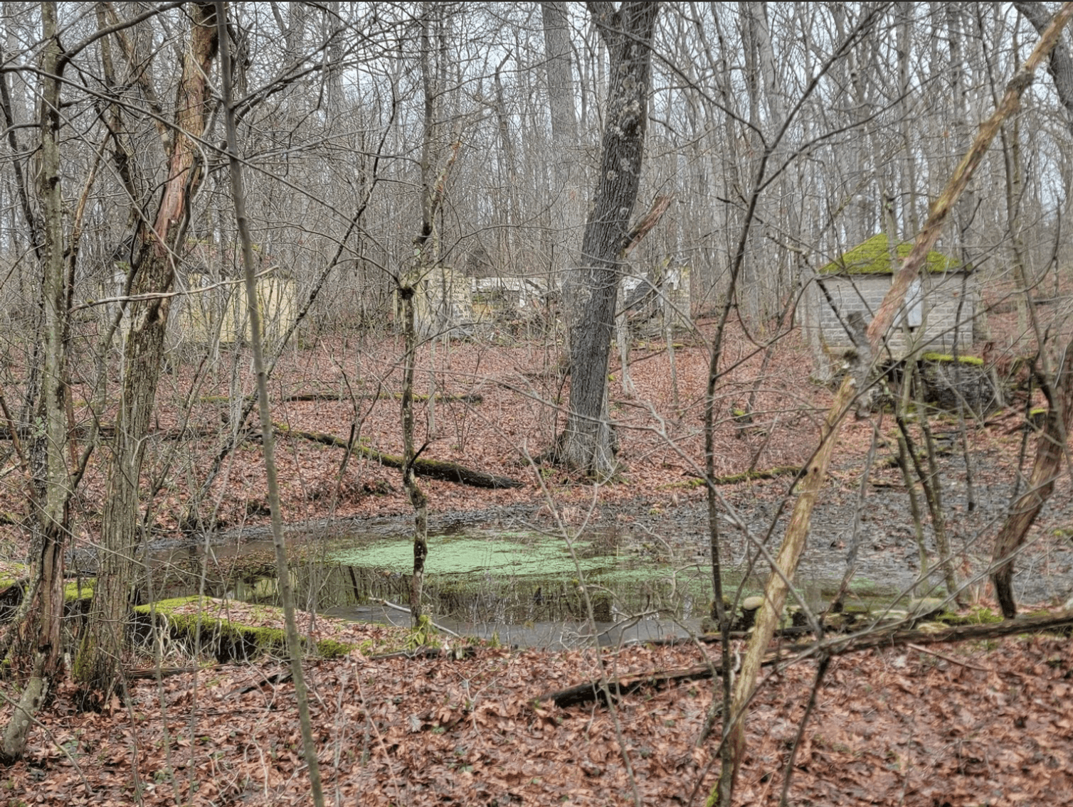 Image for TBD Cranesville Road Terra Alta WV