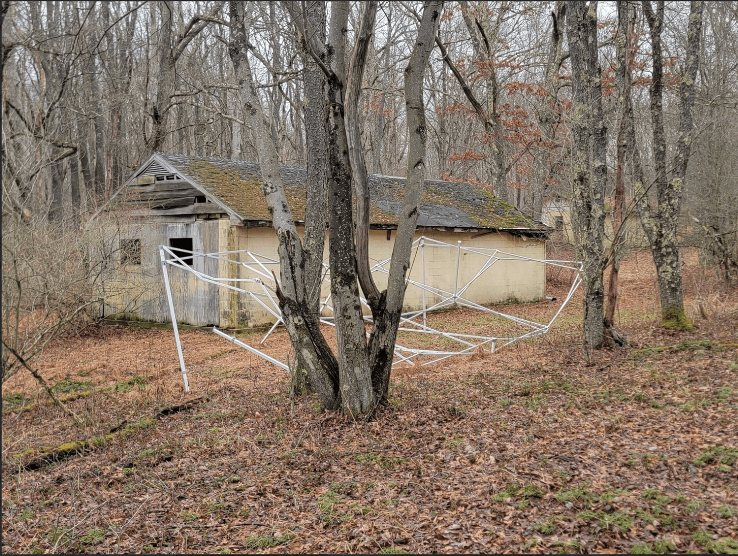 Image for TBD Cranesville Road Terra Alta WV