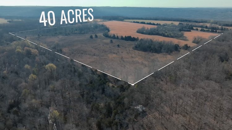 Image for 200 +/- Acres Pasture & Premium Hunting Ground