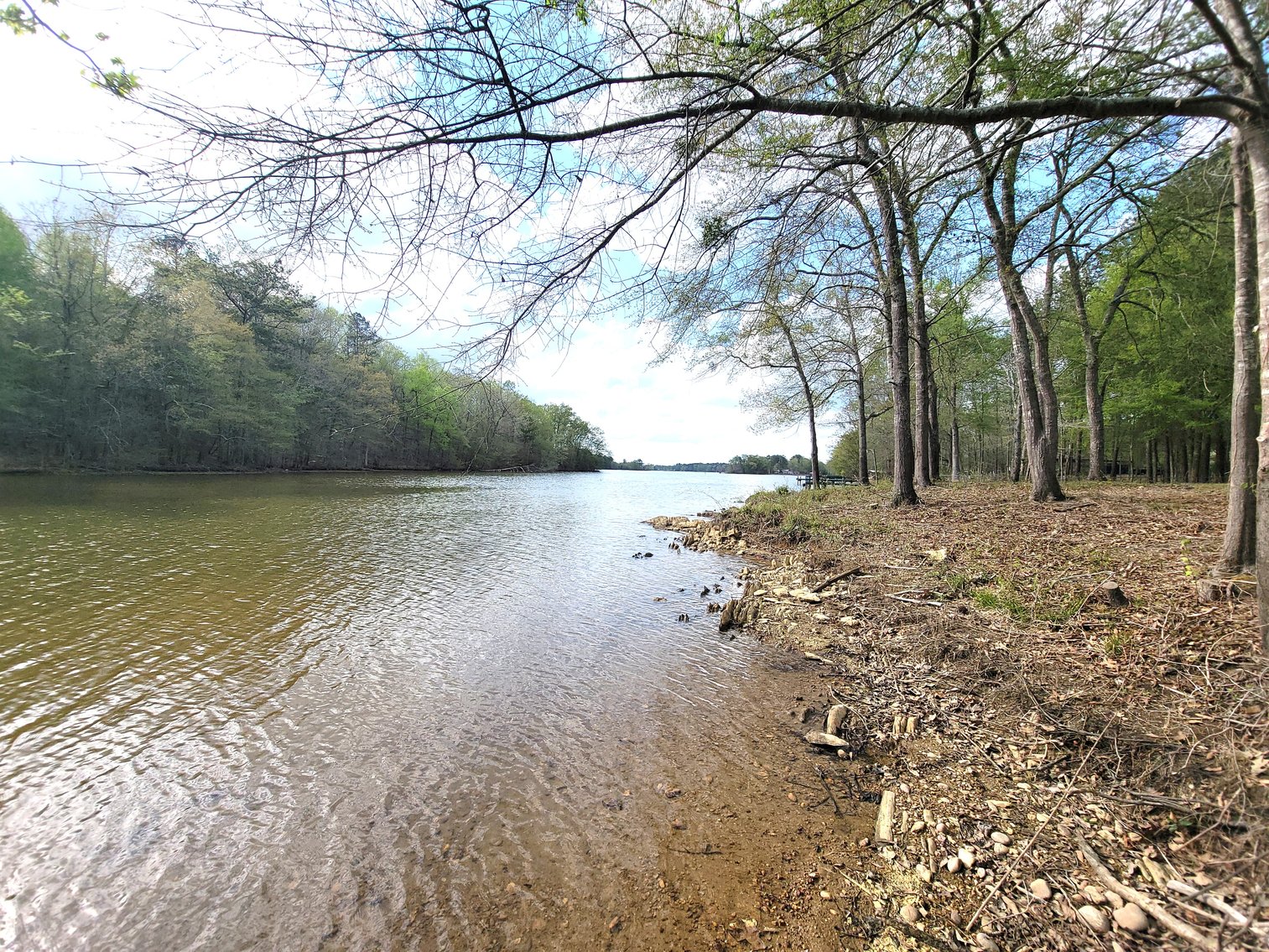 Image for ABSOLUTE AUCTION: WEISS Lake Waterfront, 05.10.25