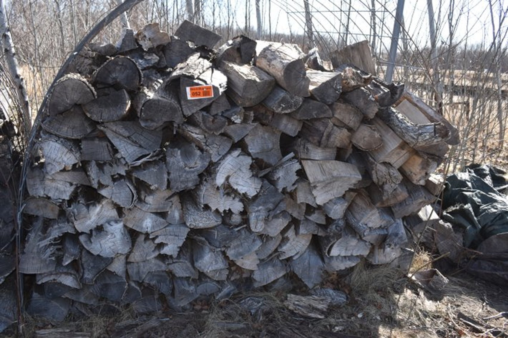 Moving Auction: Maple Grove, MN