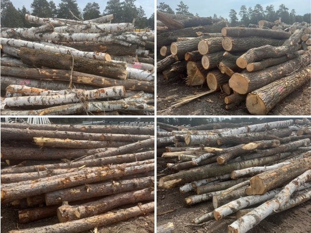 Image for Fire Wood and Lumber Logs