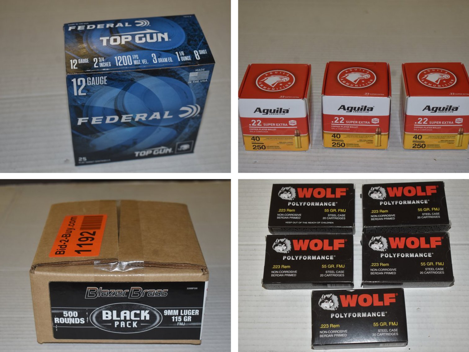 Ammunition: Federal, Remington, PMC Bronze, American Eagle (132619)