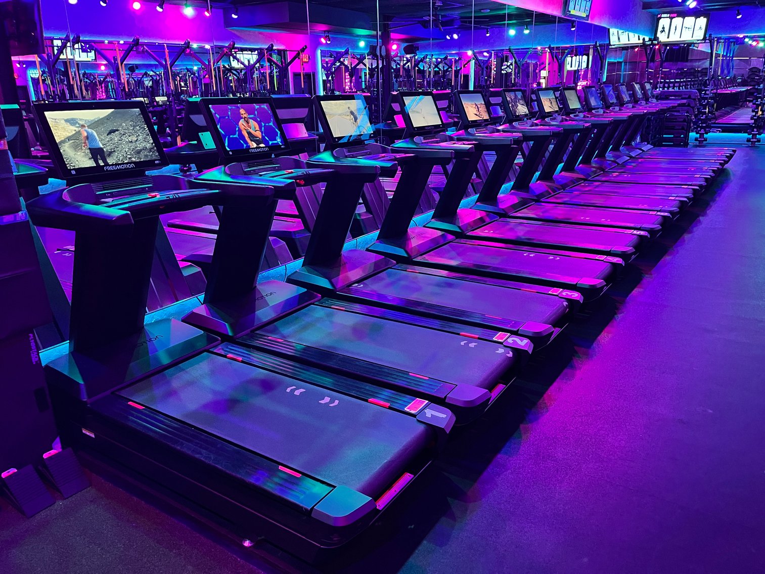 Fitness Liquidation: 2 Year Old Equipment (136110)