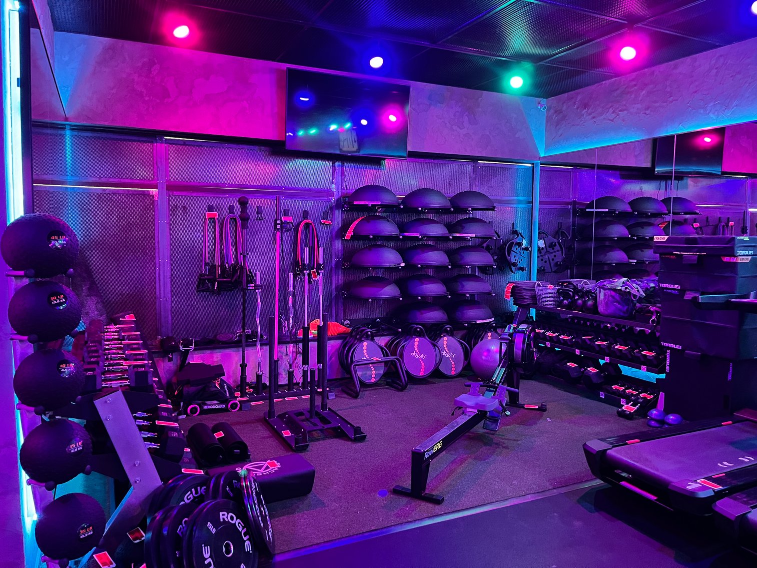 Fitness Liquidation: 2 Year Old Equipment (136110)