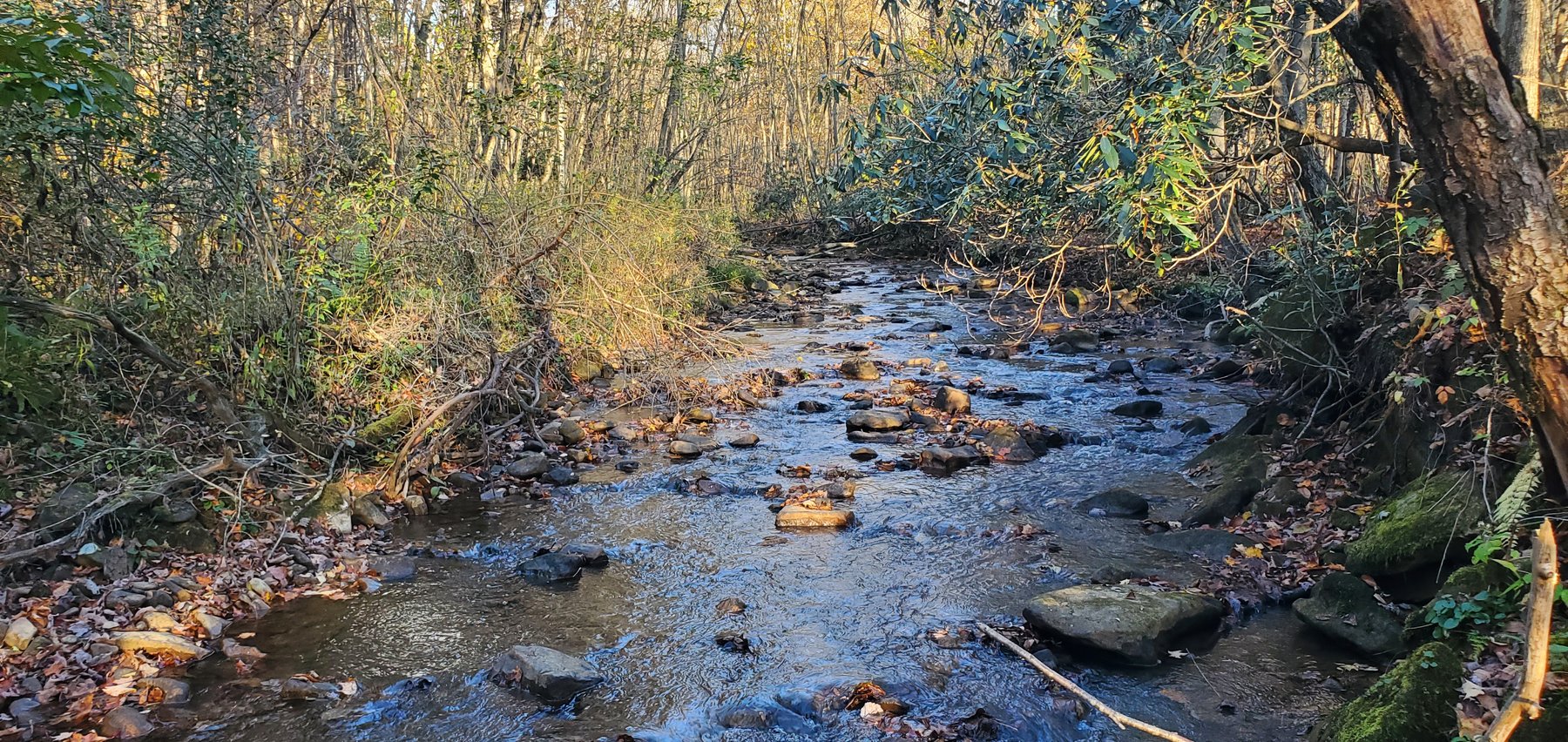 Image for PENDING SALE! Preston County Acreage! 1.25 Acres BIG SANDY! Beautiful land off of Salem Road! Bidding Begins Closing on December 11th, 2025, at 6:00 p.m.