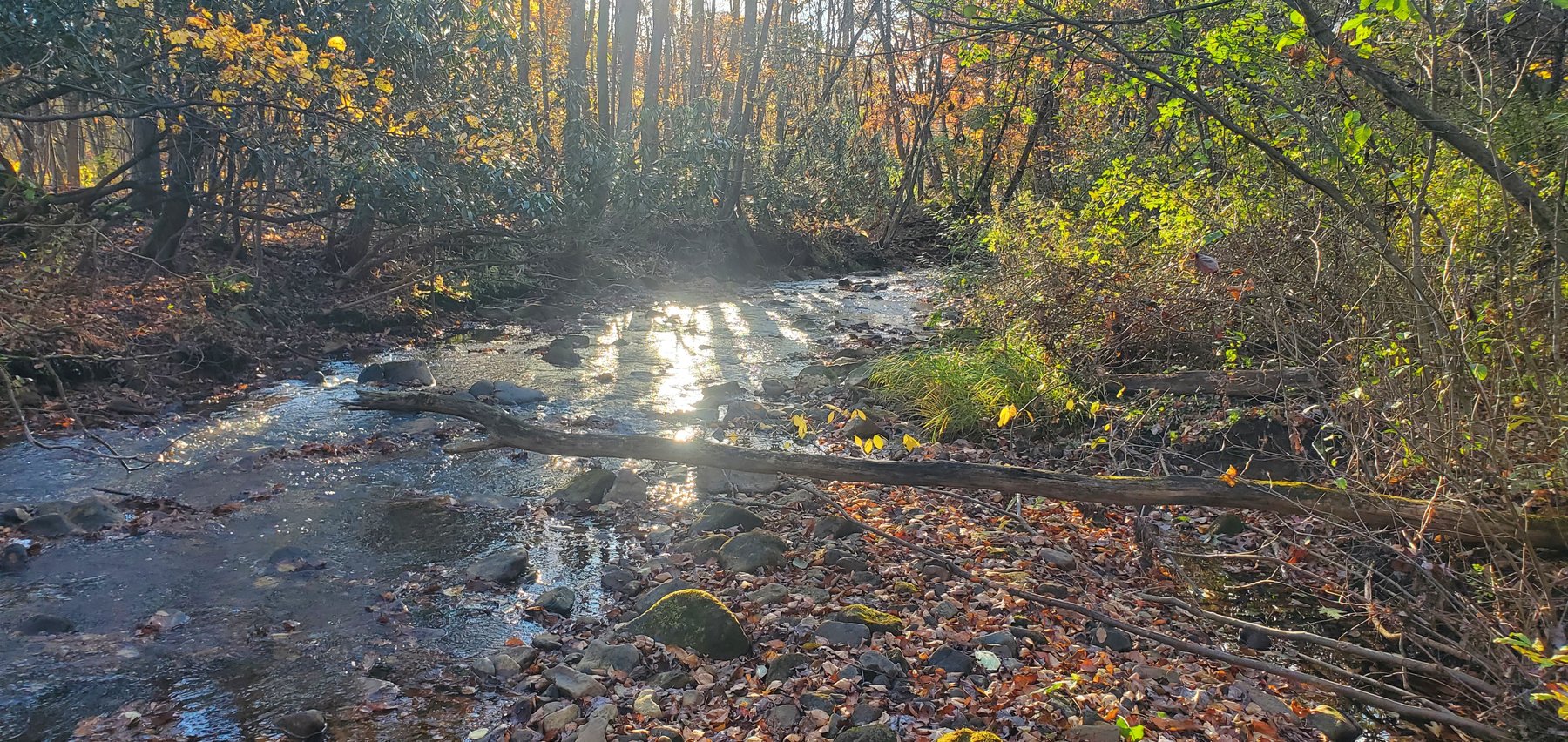 Image for PENDING SALE! Preston County Acreage! 1.25 Acres BIG SANDY! Beautiful land off of Salem Road! Bidding Begins Closing on December 11th, 2025, at 6:00 p.m.