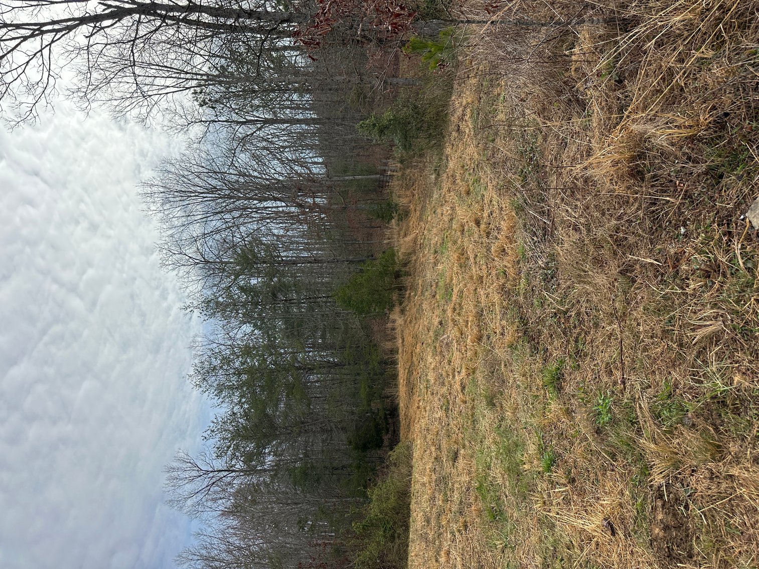 Image for 71 HERRINGTON RD Pikeville TN 37367