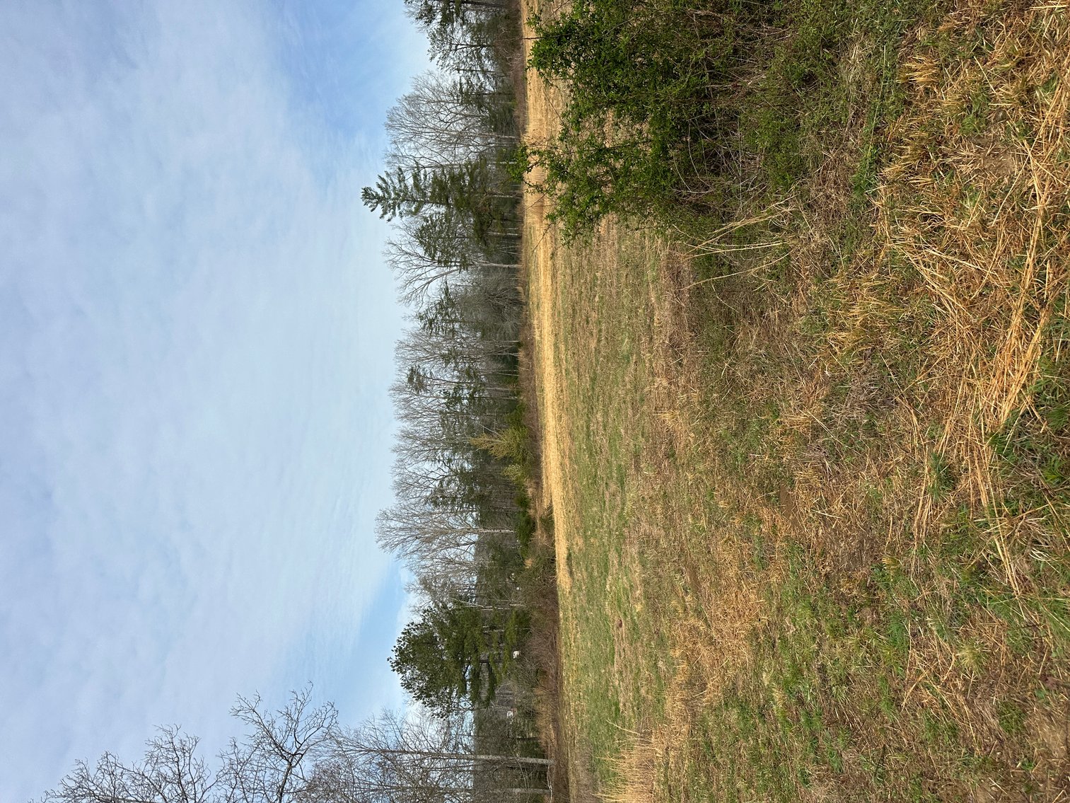 Image for 71 HERRINGTON RD Pikeville TN 37367