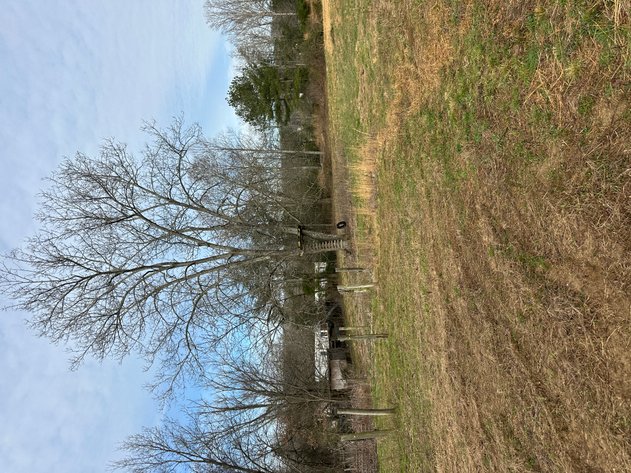 Image for 71 HERRINGTON RD Pikeville TN 37367