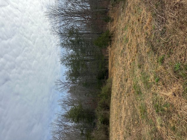 Image for 71 HERRINGTON RD Pikeville TN 37367