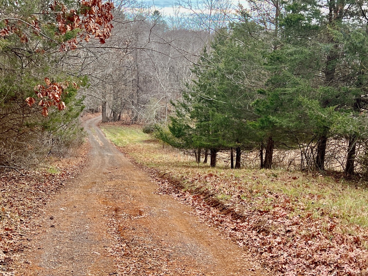 Image for 4 BR/2.5 BA Home w/Basement, Barn & Hazel River Frontage on 28.4 +/- Acres in Culpeper & Rappahannock County, VA--SELLING to the HIGHEST BIDDER via ONLINE ONLY BIDDING!!