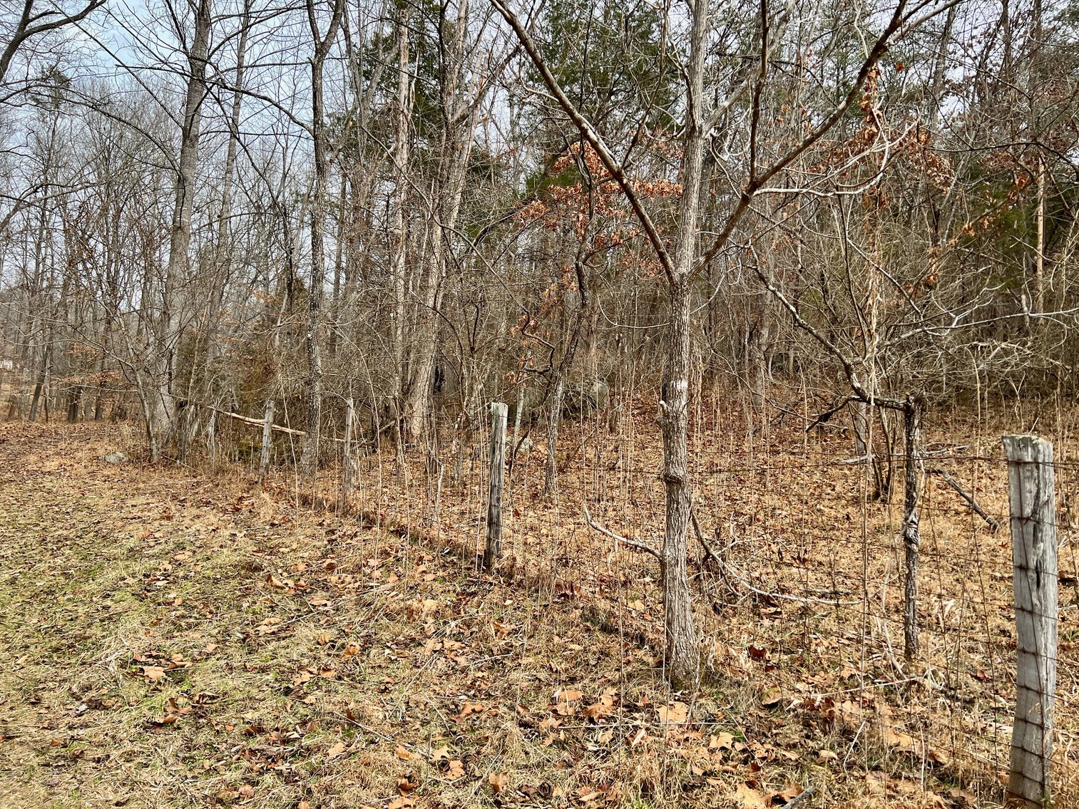 Image for 4 BR/2.5 BA Home w/Basement, Barn & Hazel River Frontage on 28.4 +/- Acres in Culpeper & Rappahannock County, VA--SELLING to the HIGHEST BIDDER via ONLINE ONLY BIDDING!!