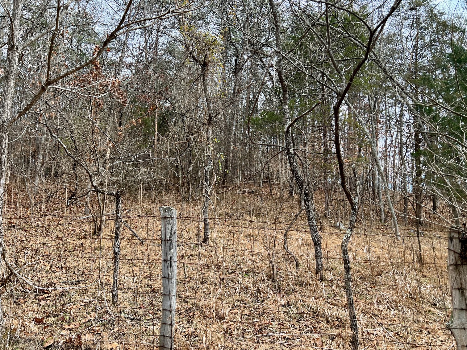 Image for 4 BR/2.5 BA Home w/Basement, Barn & Hazel River Frontage on 28.4 +/- Acres in Culpeper & Rappahannock County, VA--SELLING to the HIGHEST BIDDER via ONLINE ONLY BIDDING!!