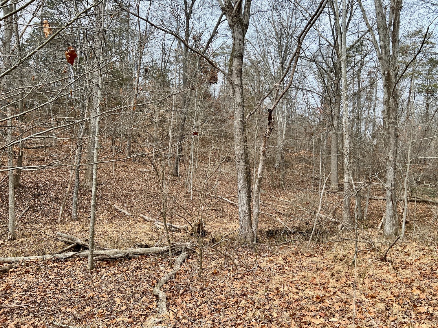 Image for 4 BR/2.5 BA Home w/Basement, Barn & Hazel River Frontage on 28.4 +/- Acres in Culpeper & Rappahannock County, VA--SELLING to the HIGHEST BIDDER via ONLINE ONLY BIDDING!!