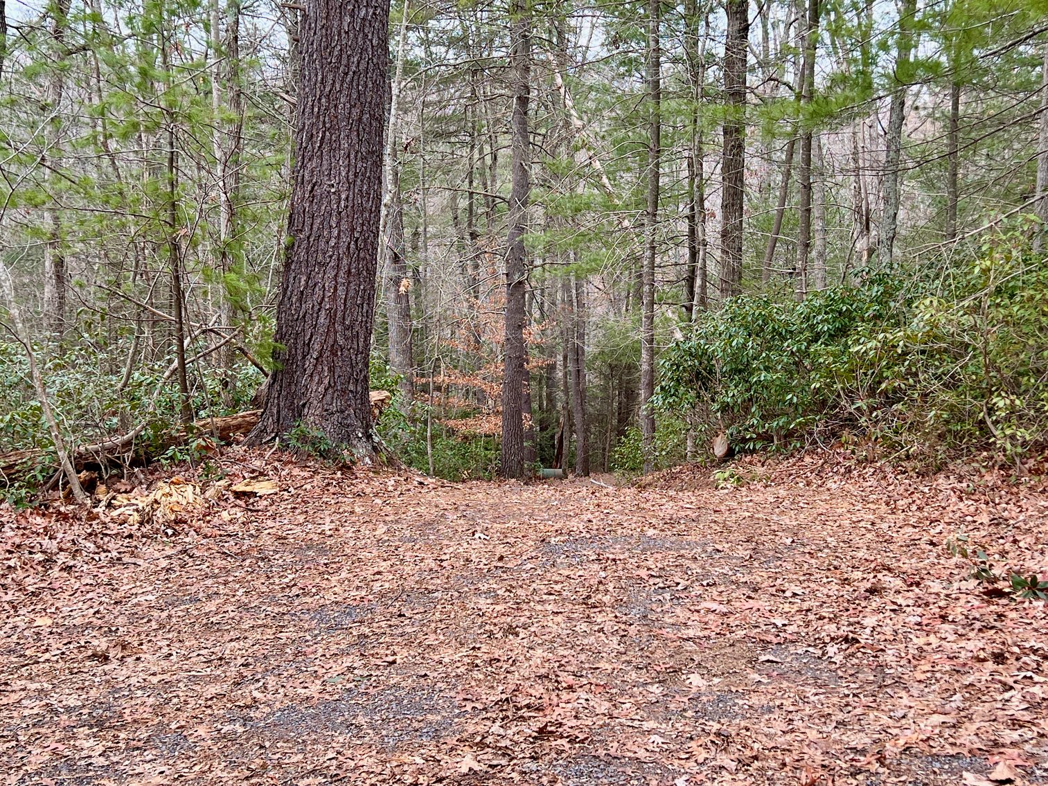 Image for 3 BR/2 BA Home w/Basement & 1,400' +/- of Hazel River Frontage on 25 +/- Acres in Culpeper County, VA--SELLING to the HIGHEST BIDDER via ONLINE ONLY BIDDING!!