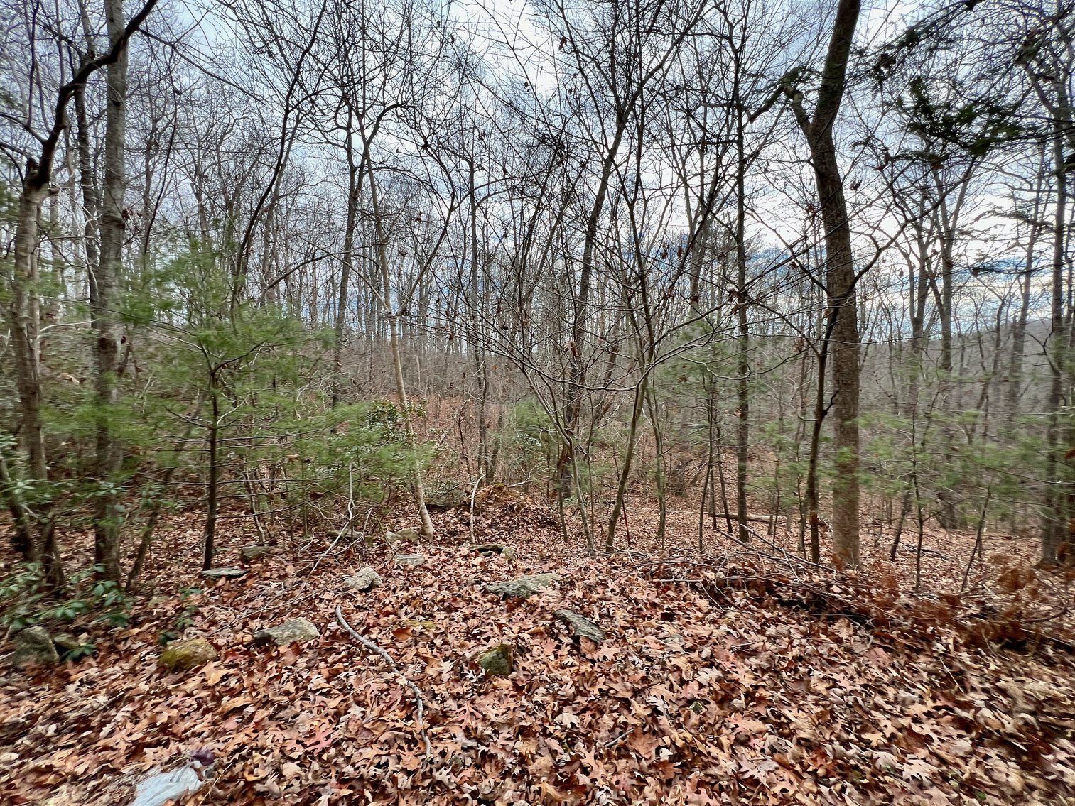 Image for 3 BR/2 BA Home w/Basement & 1,400' +/- of Hazel River Frontage on 25 +/- Acres in Culpeper County, VA--SELLING to the HIGHEST BIDDER via ONLINE ONLY BIDDING!!