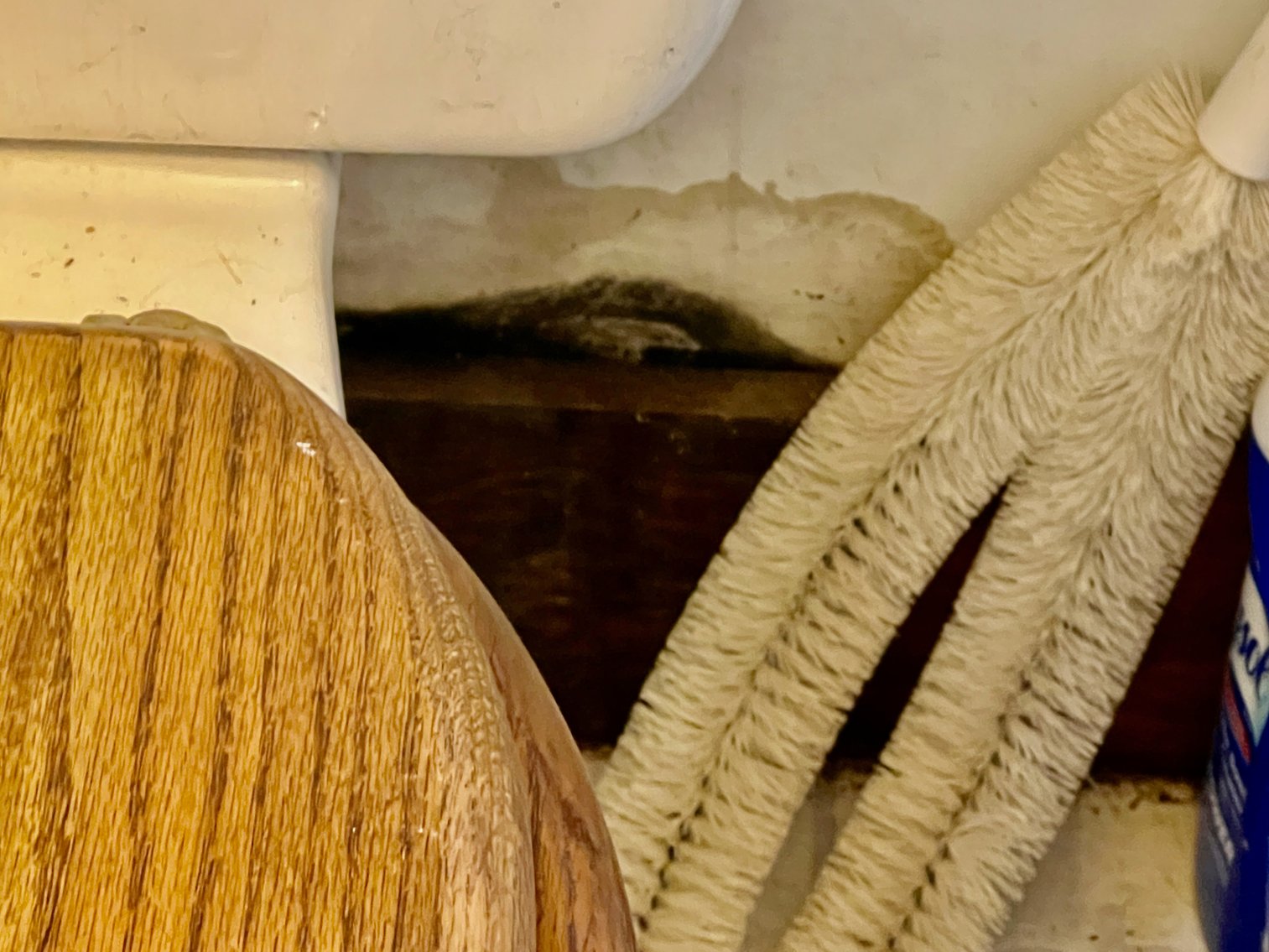 Image for 3 BR/2 BA Home w/Basement & 1,400' +/- of Hazel River Frontage on 25 +/- Acres in Culpeper County, VA--SELLING to the HIGHEST BIDDER via ONLINE ONLY BIDDING!!