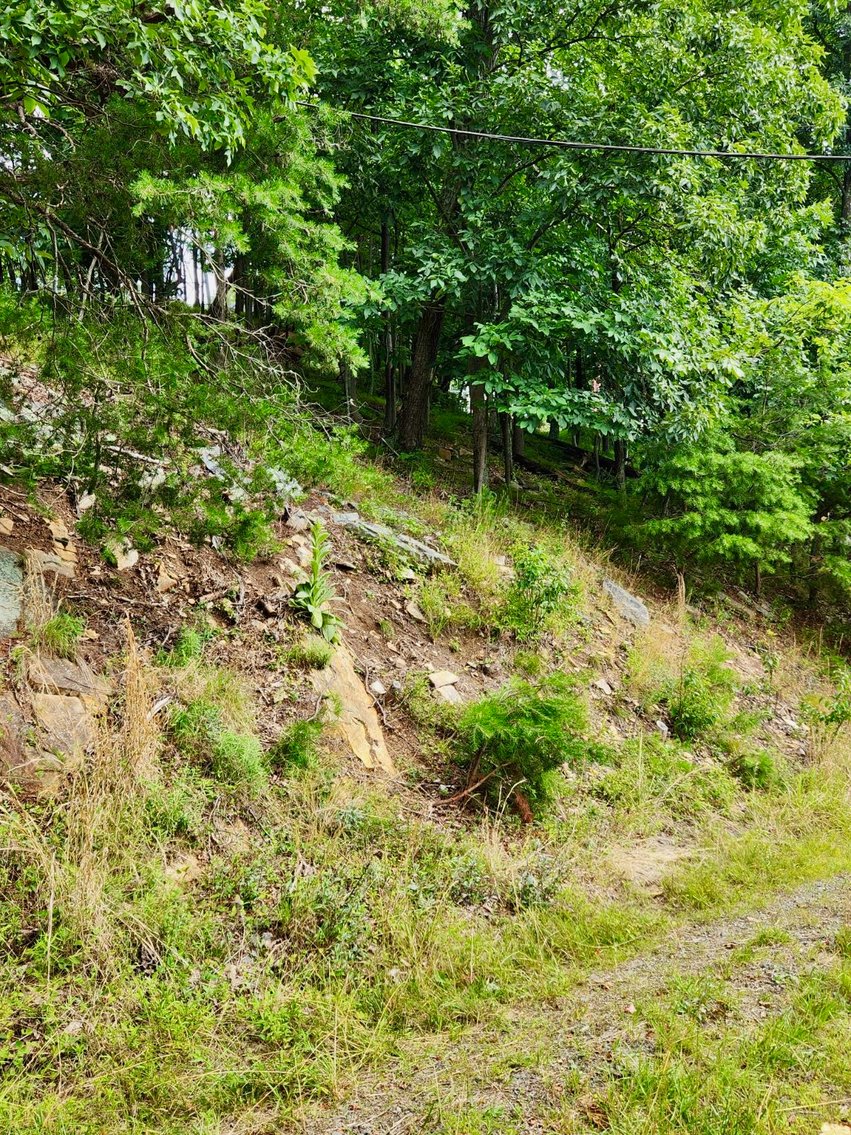 Image for 2 Lots Totaling 1.12 +/- Acres w/AMAZING Views on Top of Bull Run Mountain in Prince William County, VA--SELLING to the HIGHEST BIDDER via ONLINE ONLY BIDDING!!