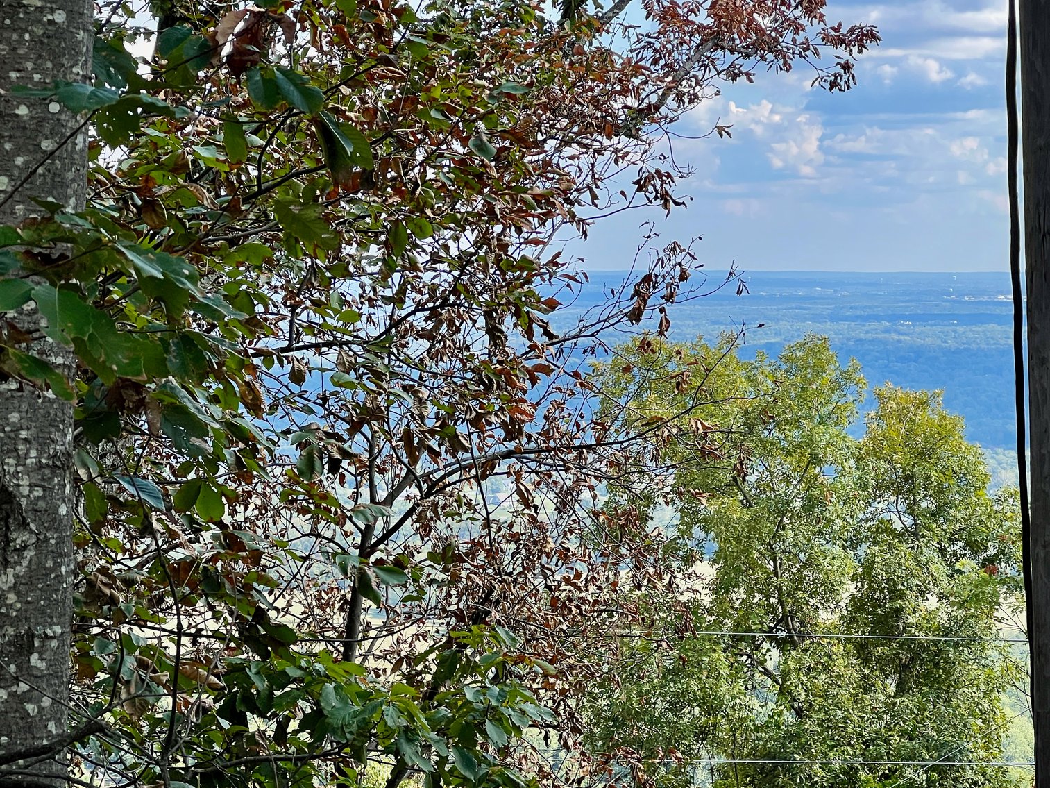 Image for 2 Lots Totaling 1.12 +/- Acres w/AMAZING Views on Top of Bull Run Mountain in Prince William County, VA--SELLING to the HIGHEST BIDDER via ONLINE ONLY BIDDING!!